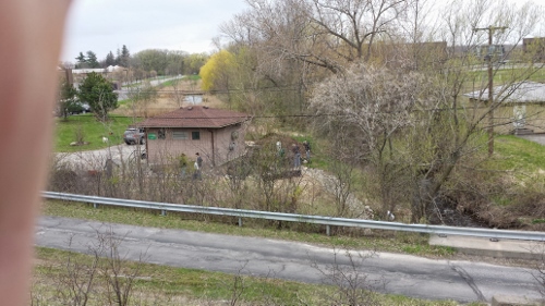 Winton Rain Garden (10)